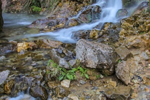 Asiab-Kharabeh-waterfall1