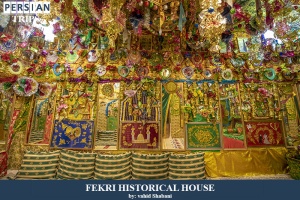 Fekri-historical-house1