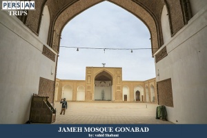 Jameh-mosque-gonabad13