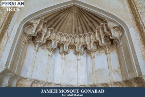 Jameh-mosque-gonabad14