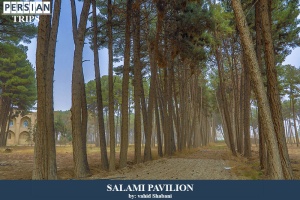 Salami-Pavilion6
