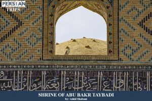 Shrine-of-Zeinoddin-Abu-Bakr-Taybadi12
