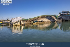Tiab-wetland8