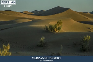 Varzaneh-desert2